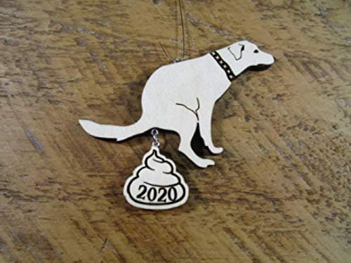 Dog poop 2020 ornament
