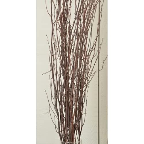 Decorative Natural brown Birch Branches 5 stems per bunch, 3-4 feet tall -- Single Bunch