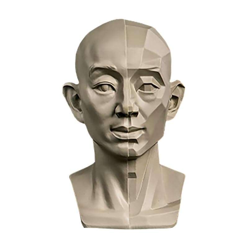 Head Models for Portrait Sketching, Resin Plaster Statues, Drawing Models for Art Students, Still Life Skulls, Small Resin Human Manikin Head Sculpture for Medical Drawing Teaching (Head & Block)