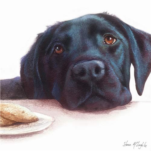 Watercolour Labrador (Black) Blank Greetings Card