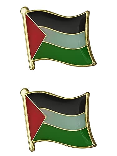 Palestine Flag Lapel Pins (2 Pack) 3/4" x 5/8" (19 x 16mm) Hat Tie Tack Badge Pin