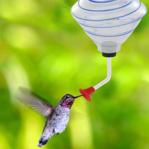 Hand Blown Glass Hummingbird Feeder