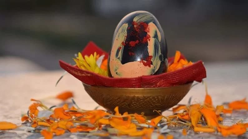 Black Shaligram Stone From Vrindavan || Size 2 Inces Approx (Black)