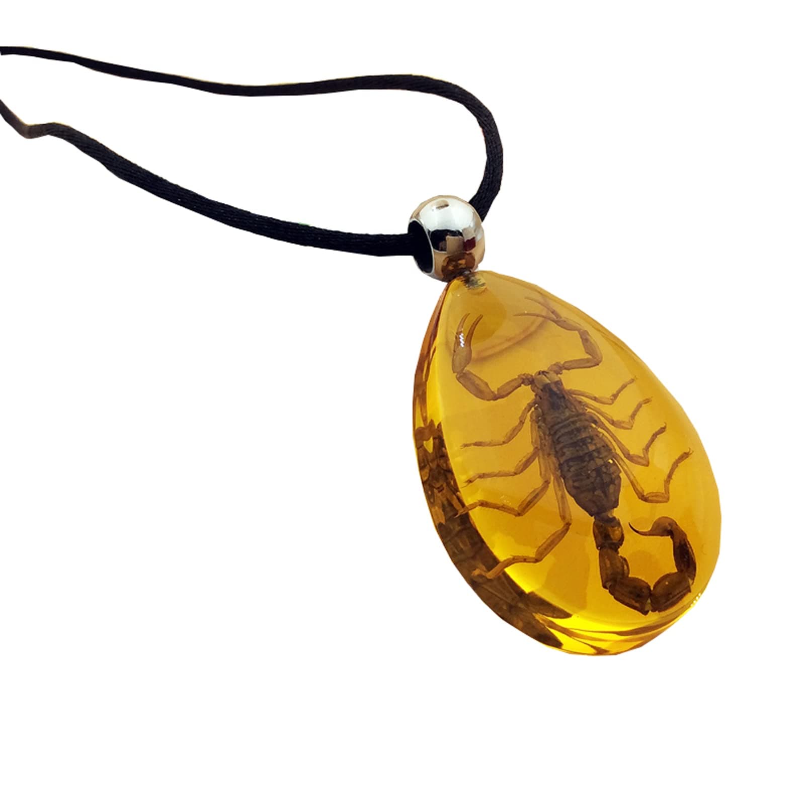 Specimen Science,Insect ​Samples,Insect Stone,Insect Stone Natural Scorpions Inclusion Amber Baltic Pendant Necklace Home Decorative Stone Wedding Party Travel Gift.
