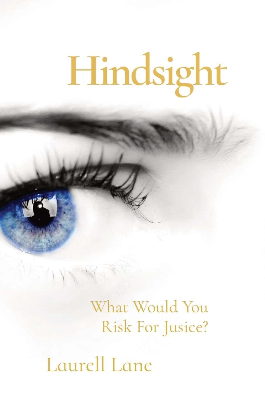 Hindsight: What Would You Risk For Jusice?