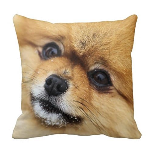 Pomeranian Portrait Pillow Case
