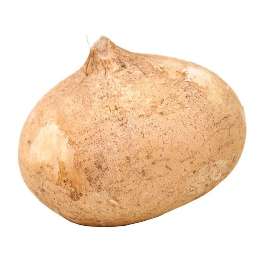 Bristol Farms, Jicama, 1 Count