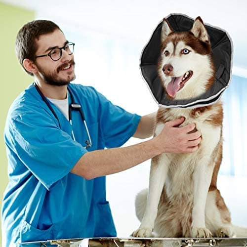 Medium Size Dog Cone Collar Soft After Surgery for Large Dog, Pet Recovery Collar for Surgery with Elastic Loops, Dog/Cat Cones After Surgery Neck to Scout 10 inch Neck Circumference 13.5-17.5inch