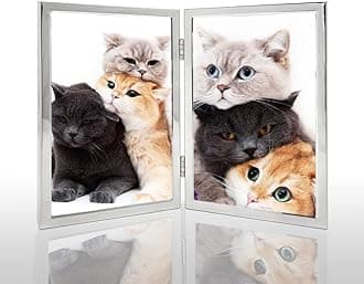 4x6 Picture Frame Double Hinged Silver Metal Thin Edge Frame with High Definition Glass Front Folding Frames Stand Vertically on Tabletop,Silver