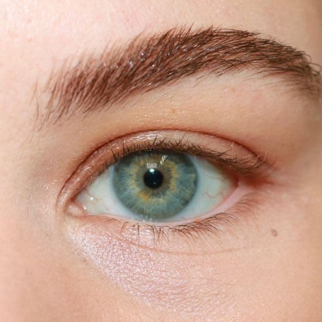 Contours RX Transforming Shadow Base – Extends & Deepens Eye Shadow Makeup over Eyelids, USED WITH LIDS BY DESIGN