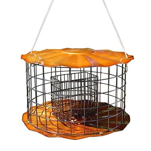 ErvaStarling-Proof Barrier Guard Feeder with Double Suet Cake Holder - Premium Copper Finish - Made in USA (SUET1C)