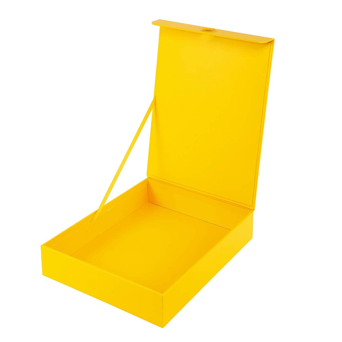 VPACK Files Storage Organizer Boxes, Flip Up Design Easy Clean Filing & Storage Office Box with Lip for Letters, Files, Documents, Papers (Yellow)