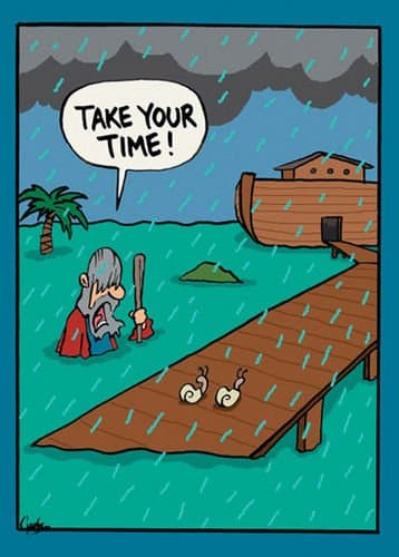 Friendship Cards - 3 Different Cards with Envelopes