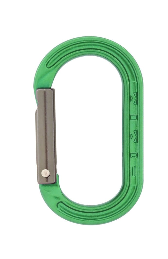 DMMXSRE Mini Accessory Carabiner, green