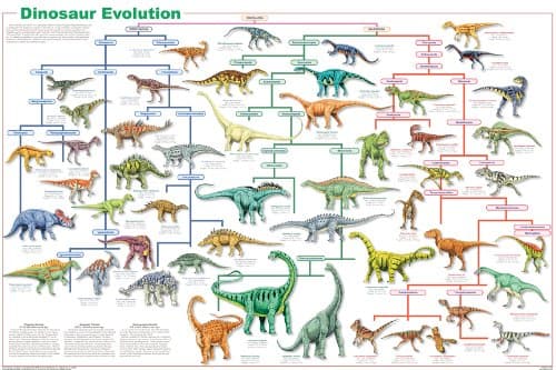Feenixx Publishing Dinosaur Evolution Poster 24x36