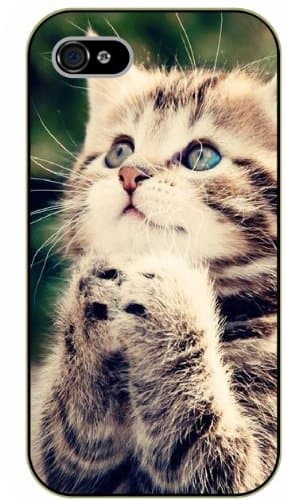 iPhone 5C Praying kitty - black plastic case / Nature, Animals, Places Series, cat, kittens