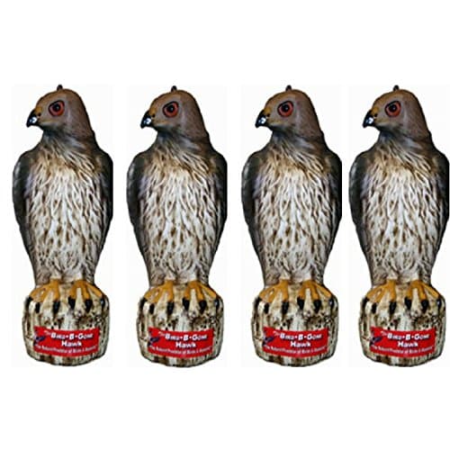 Bird B Gone INC MMRTH1 Decoy Hawk - 4