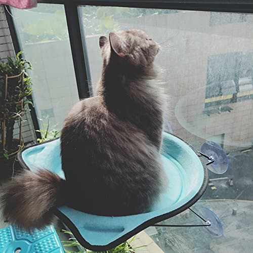 Cat Window Perch,DOTPET Metal Cat Hammock Window Mounted Up to 26lbs Window Mounted Cat Bed & Cat Sunny Seat 4 Suction Cup Mini Kitty Bed Climbing Tower Enjoy Comfortable Sunbath for Winter (Blue)