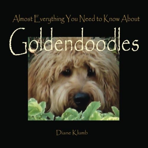 Almost Everything You Need to Know About Goldendoodles Paperback – October 26, 2012