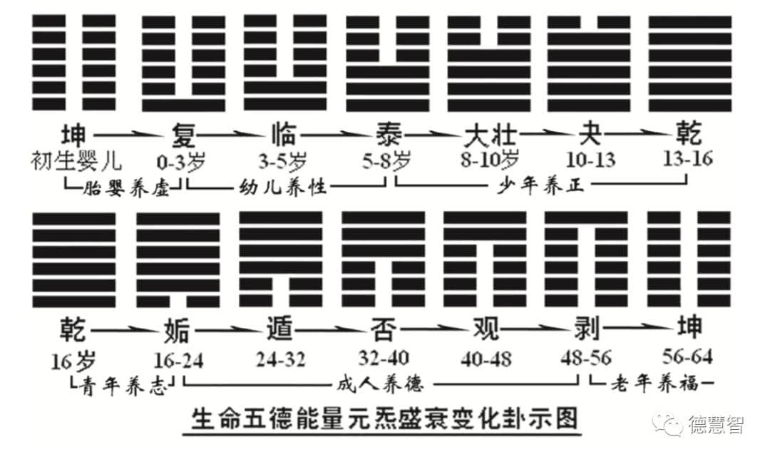Baraiser Cold Brew Coffee Maker, 1 Gallon Iced Coffee Maker with Ultra-fine Mesh Steel Filter and Spigot,White