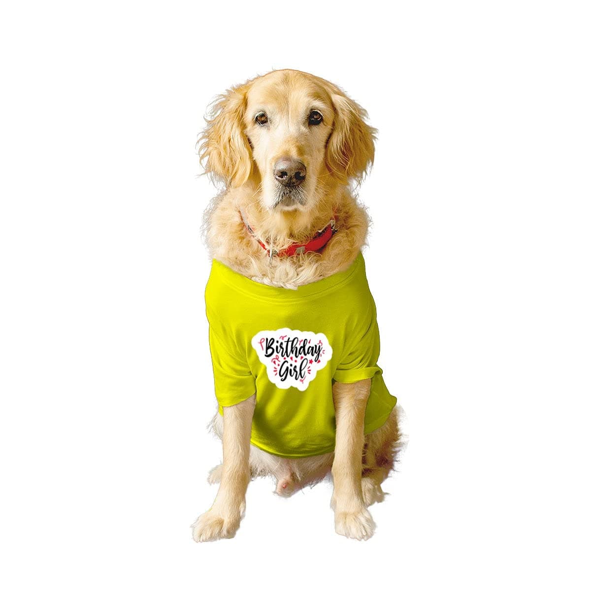 RuseRuse Basic Crew Neck Birthday Girl Printed Half Sleeves/Apparel/Clothes/T-Shirt Gift for Dogs.Colour-Yellow/X-Large (Saint Bernard, Great Dane etc.)