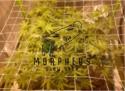 Morpheus Grow Tech Trellis Netting/Scrog Net For 4'x8' Grow Tents with 4 Zip-ties& 3 Plant Labels