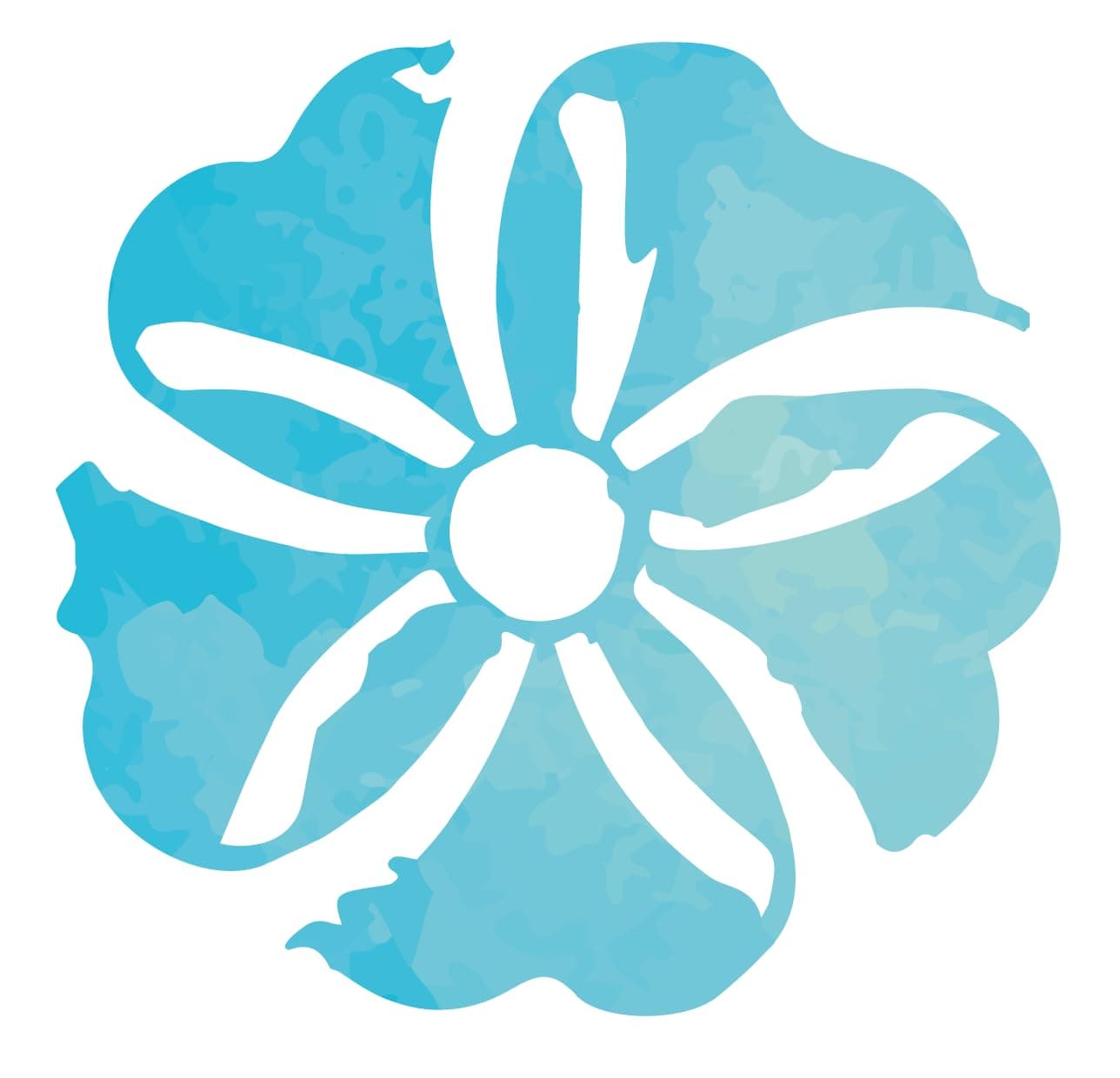 AyurvedaSupplement - 100g