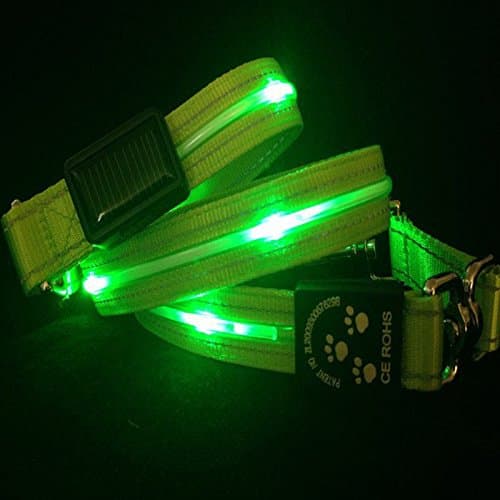 Lighted USB/Solar Rechargeable Dog Leash with Multiple LEDs