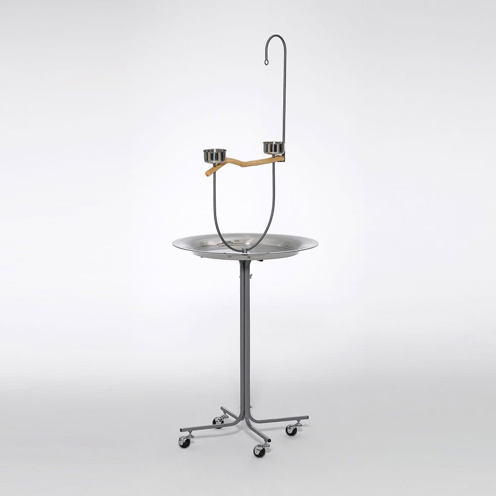 Avian Parrot Playstand