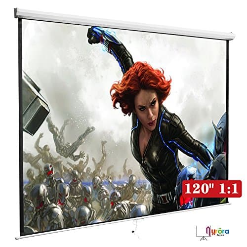 DFM 120" 1:1 Manual Pull Down Projection Screen Home HD Movie ,White
