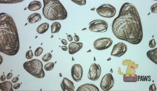 underPAWS DD-002 Dirty Dog Barrier