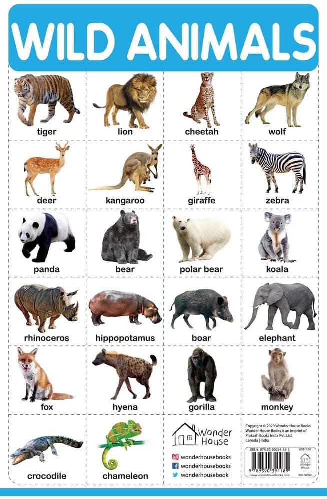 Wild Animals - My First Early Learning Wall Chart: For Preschool, Kindergarten, Nursery and Homeschooling (19 inches X 29 inches)