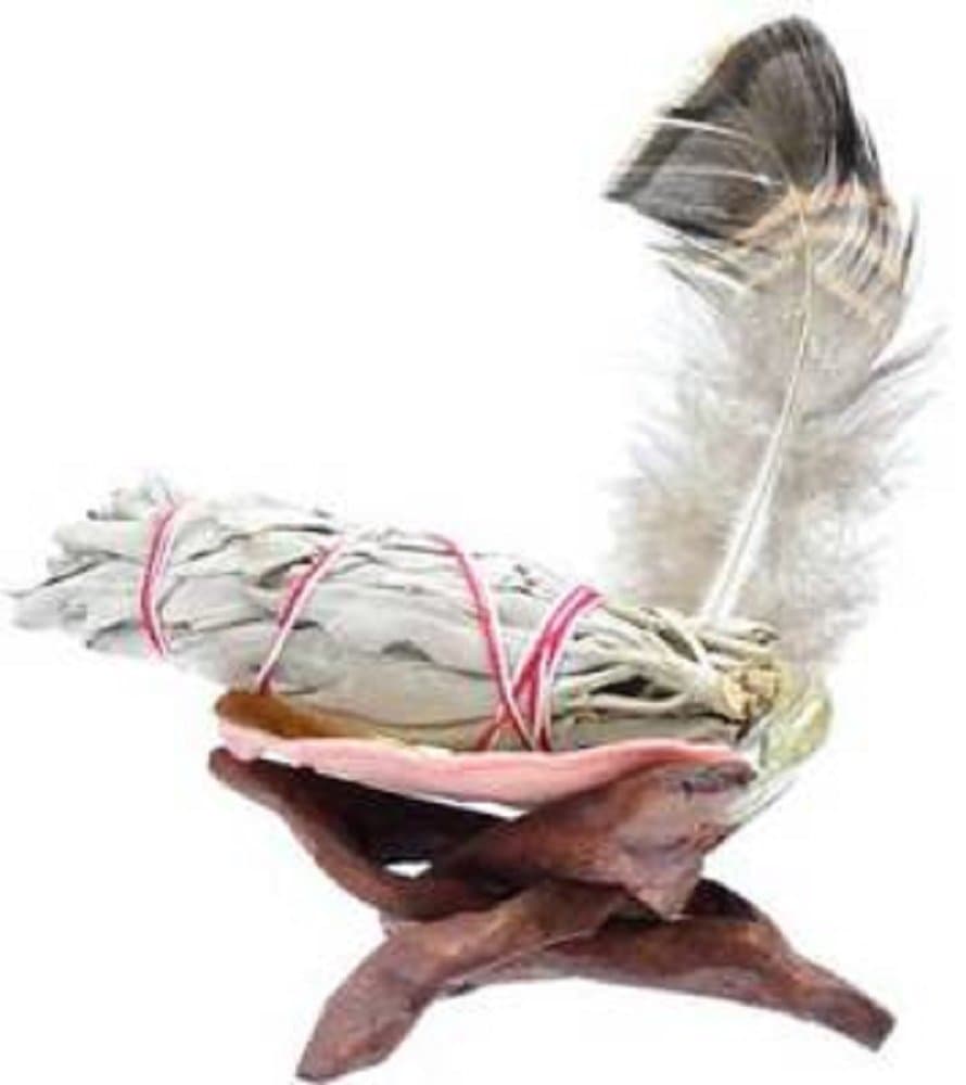 Azure Green RSMSK White Sage Kit Smudge