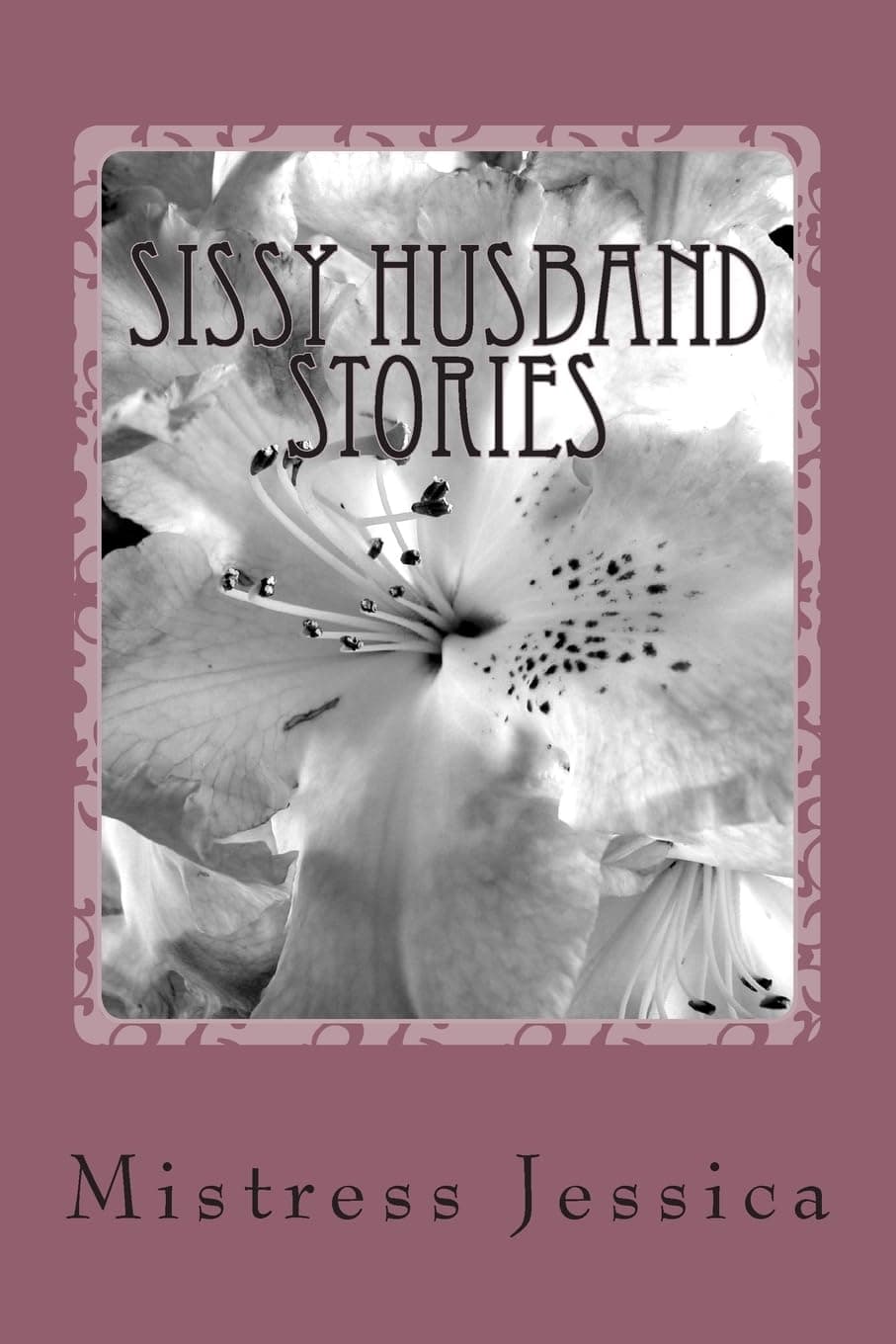 Sissy Husband Stories Paperback – April 8, 2013