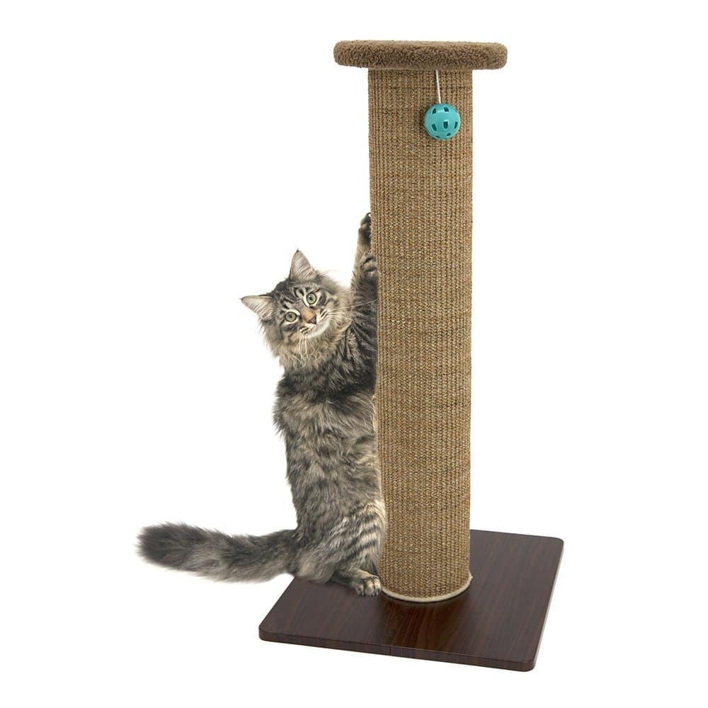Kitty City Tall Sisal Cat Scratching Post, 32” Durable Scratcher with Sturdy Base & Hanging Jingle Toy, Easy Assembly, Furniture Protection for Indoor Cats - Brown