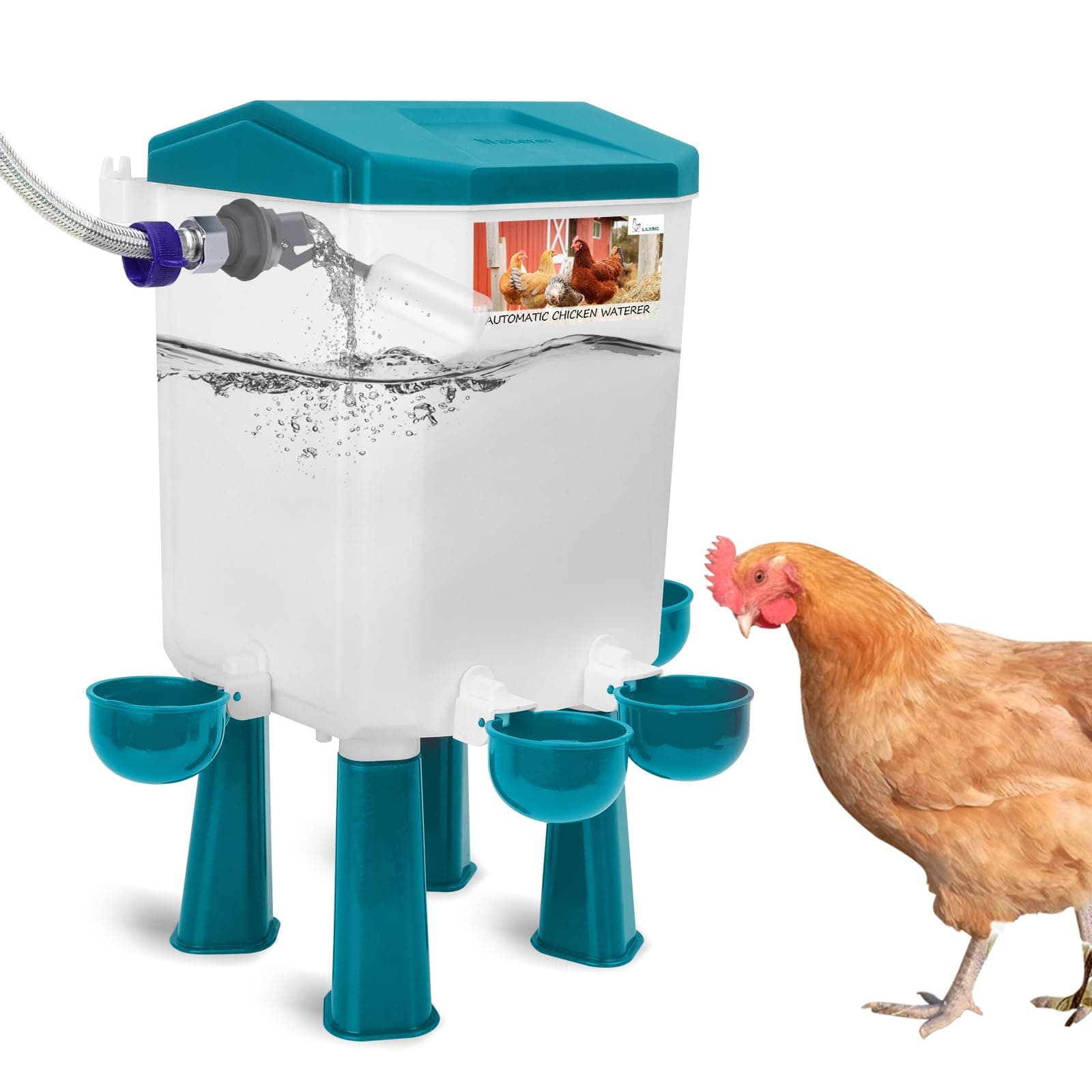 Lilyang Float-Controlled Automatic Chicken Waterer for Continuous Fresh Water (2024 Version), Free-Standing Chicken Waterer with 60 Inch Water Hose (One End 3/4''), Suitable for Quail Duck Turkey