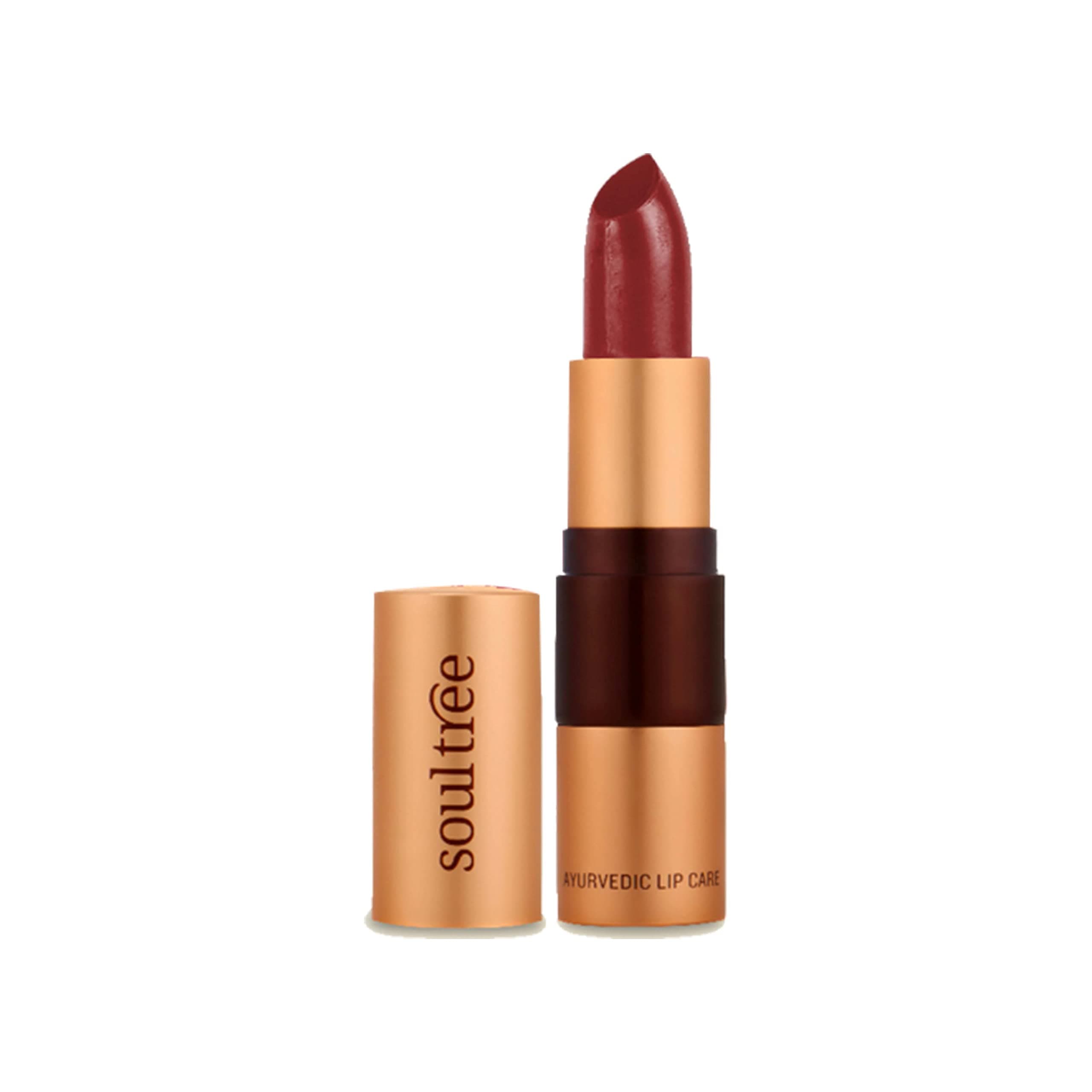 Ayurvedic Lipstick - Java Brown 810, 4gm