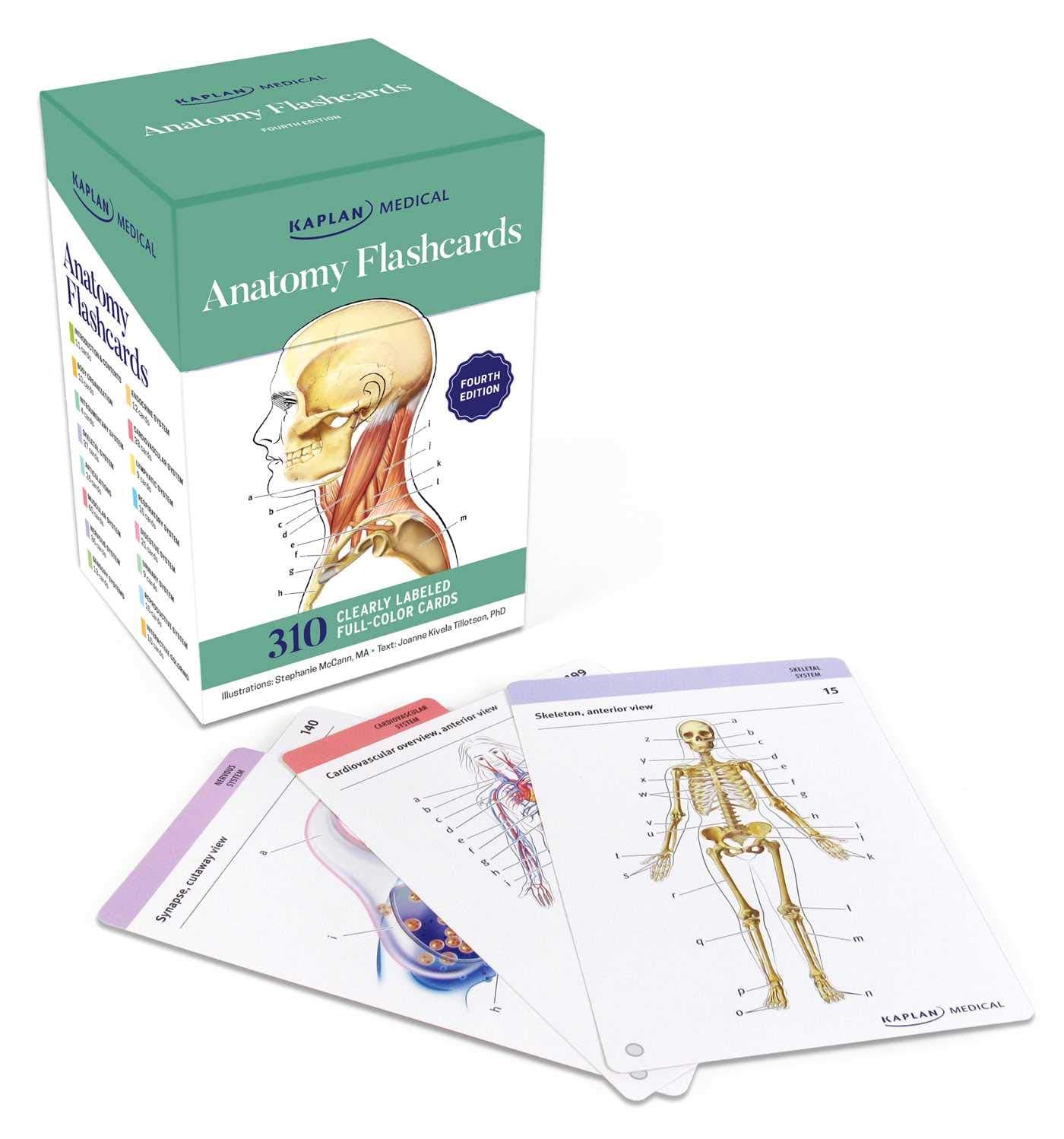 ANATOMY FLASHCARDS