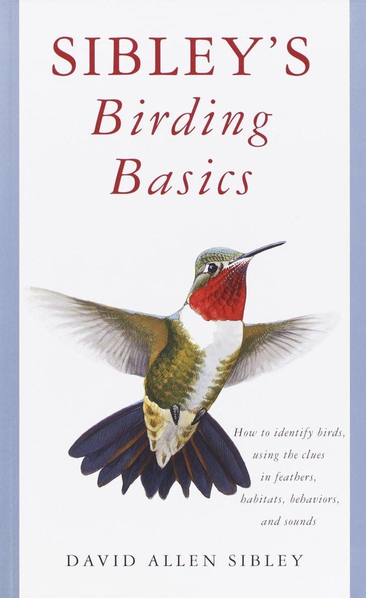 Sibley's Birding Basics (Sibley Guides)