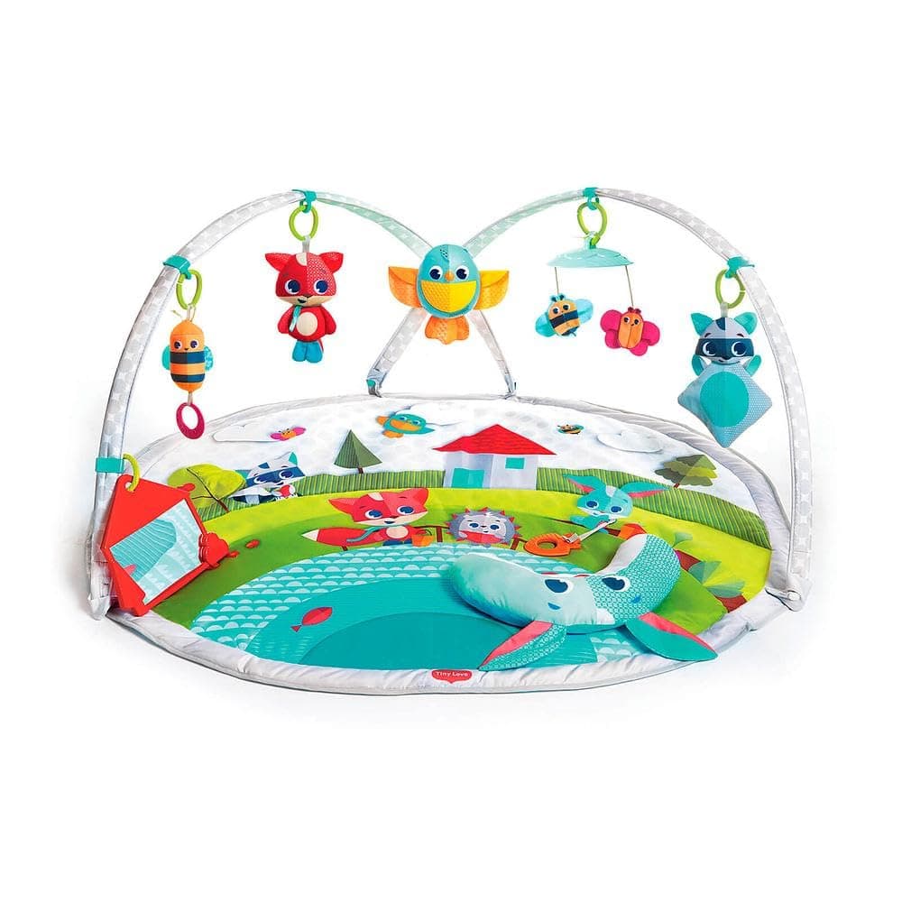 Dynamic Play Gym, Baby Playmat & Activity Multi Color
