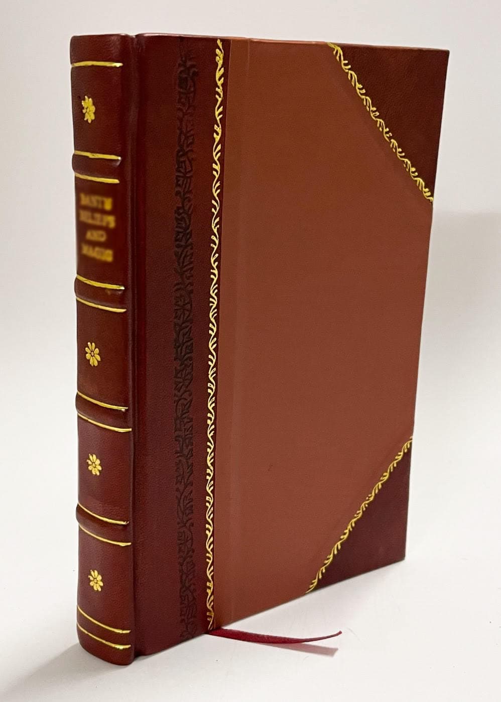 Deutsches Kolonialhandbuch (1901) [Leather Bound]