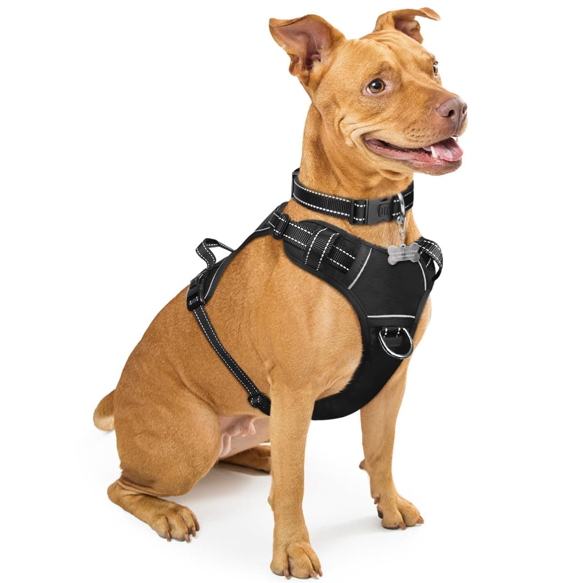 WINSEE Dog Harness No Pull, Pet Harnesses with Dog Collar, Adjustable Reflective Oxford Outdoor Vest, Front/Back Leash Clips for Small, Medium, Large, Extra Large Dogs, Easy Control Handle for Walking