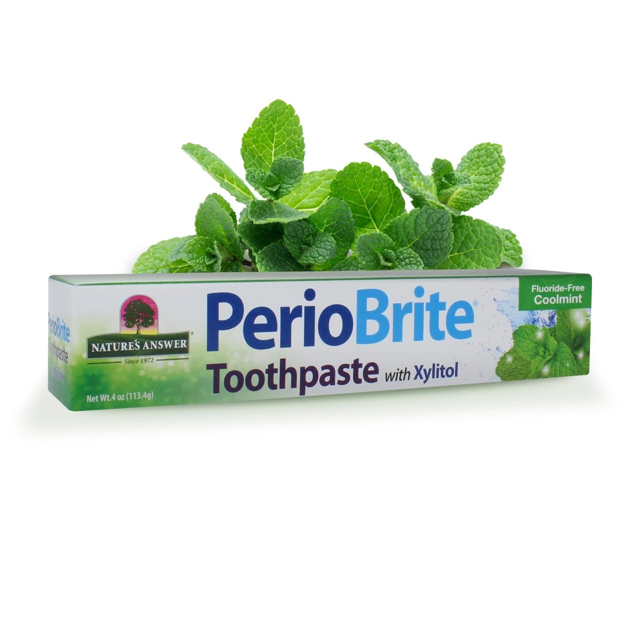 Nature's Answer Periobrite Natural Toothpaste, Cool Mint, 4 Ounce
