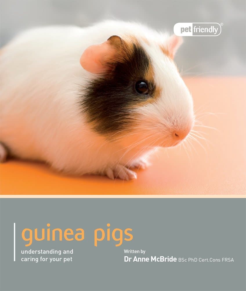 Guinea Pigs: Understanding and Caring for Your Pet (Pet Friendly) Paperback – July 1, 2012