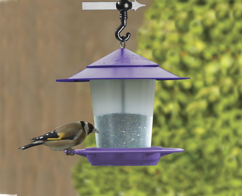 W2071 Lantern Bird Seed & Nut Feeder Purple