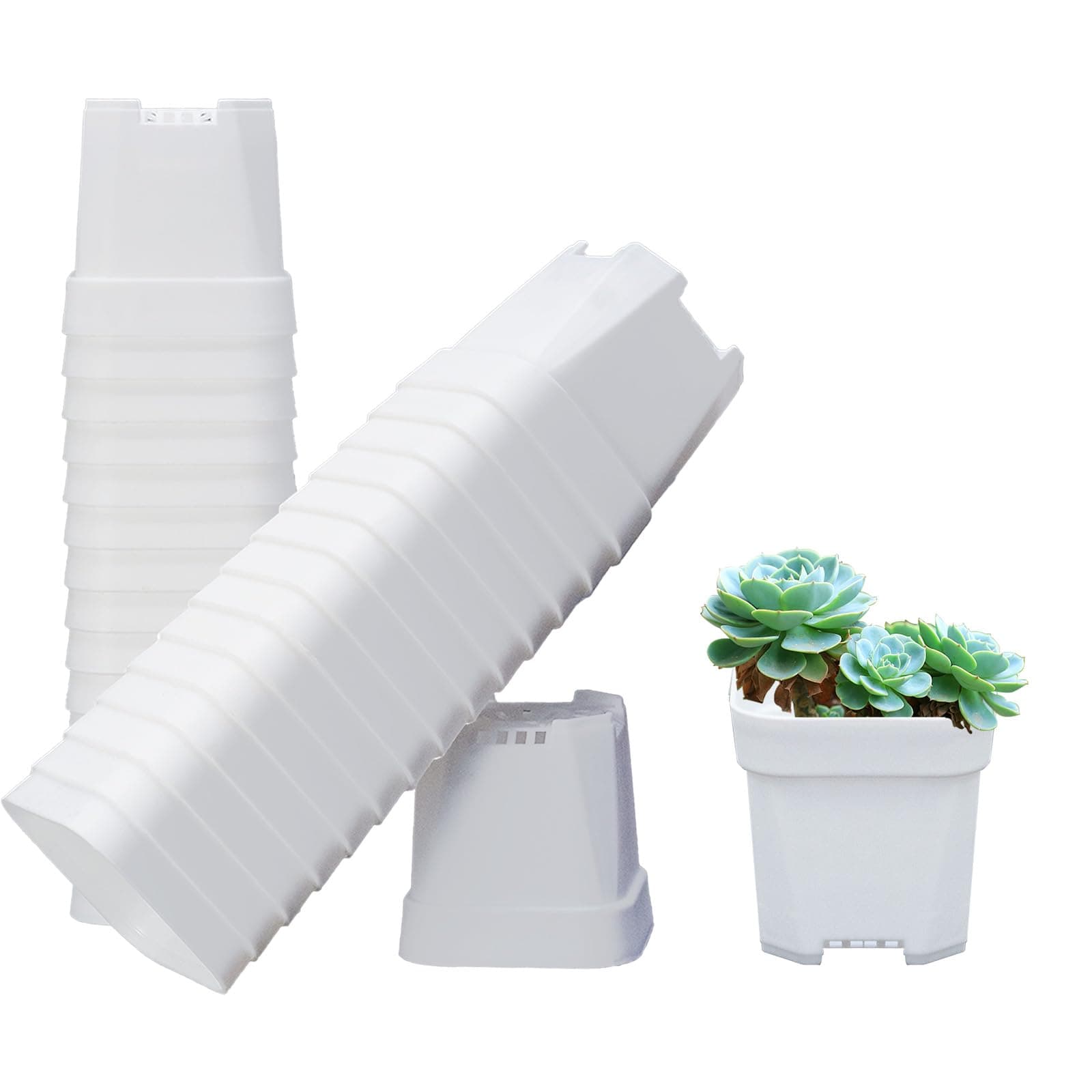 ZEZUT 90 Pack Nursery Pots,Small Plastic Pots, 2.5 Inch Square Planters,Mini Plants Pots with Drainage Hole, White Tiny Planter for Indoor, Outdoor, Succulents, Flower,Cactus