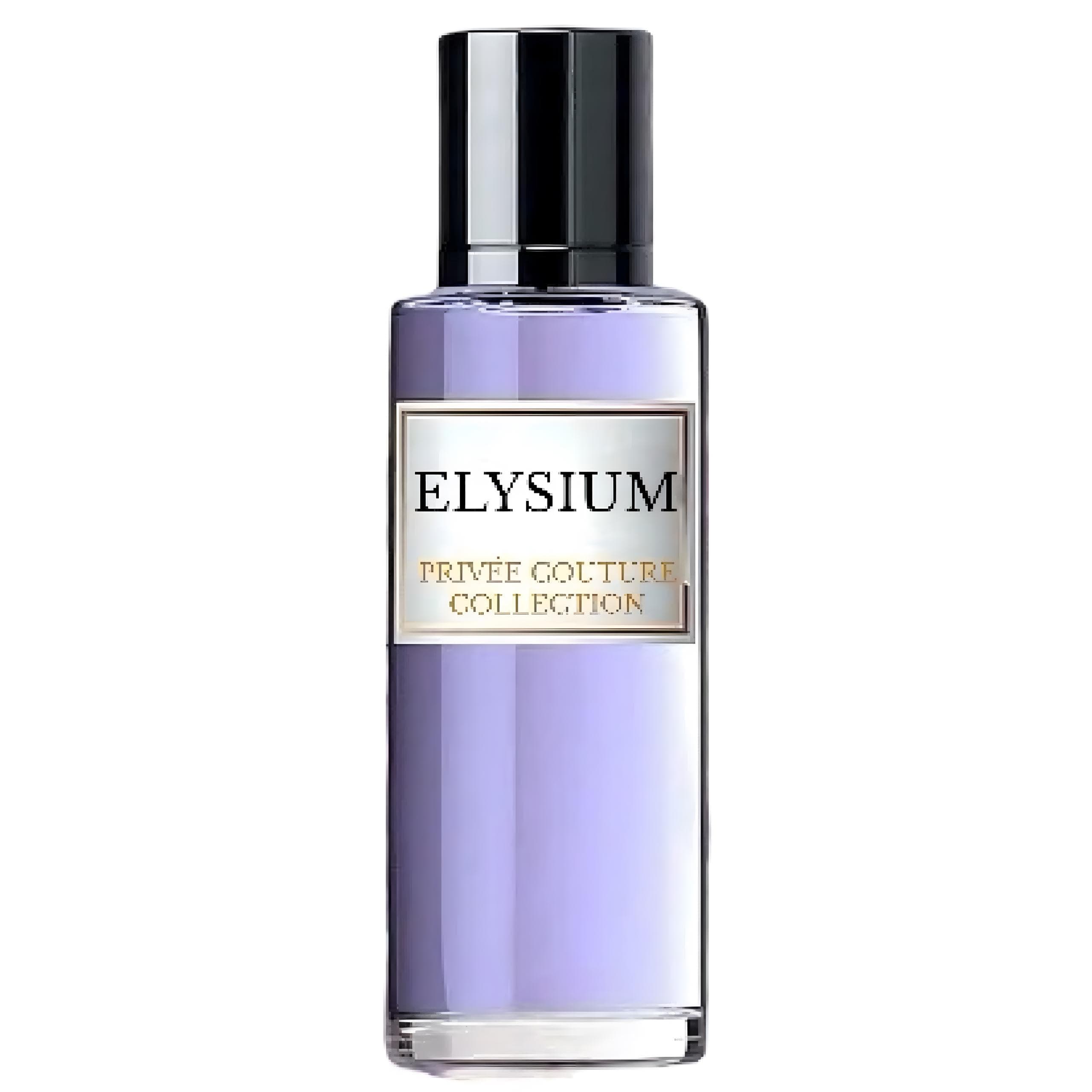 ODORZROJA ELYSIUM - Eau De Parfum | Long Lasting Perfumes For Men - Privee Couture Collection | High Concentration 30 ML perfume For Women | By Latafa Perfumes