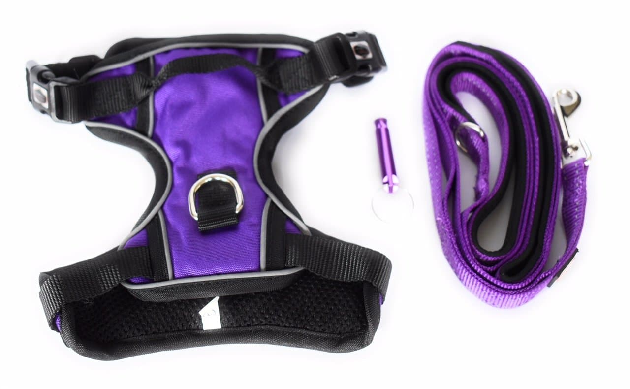 Adjustable Dog Harness Leash Set with Training Whistle (Small, Purple)