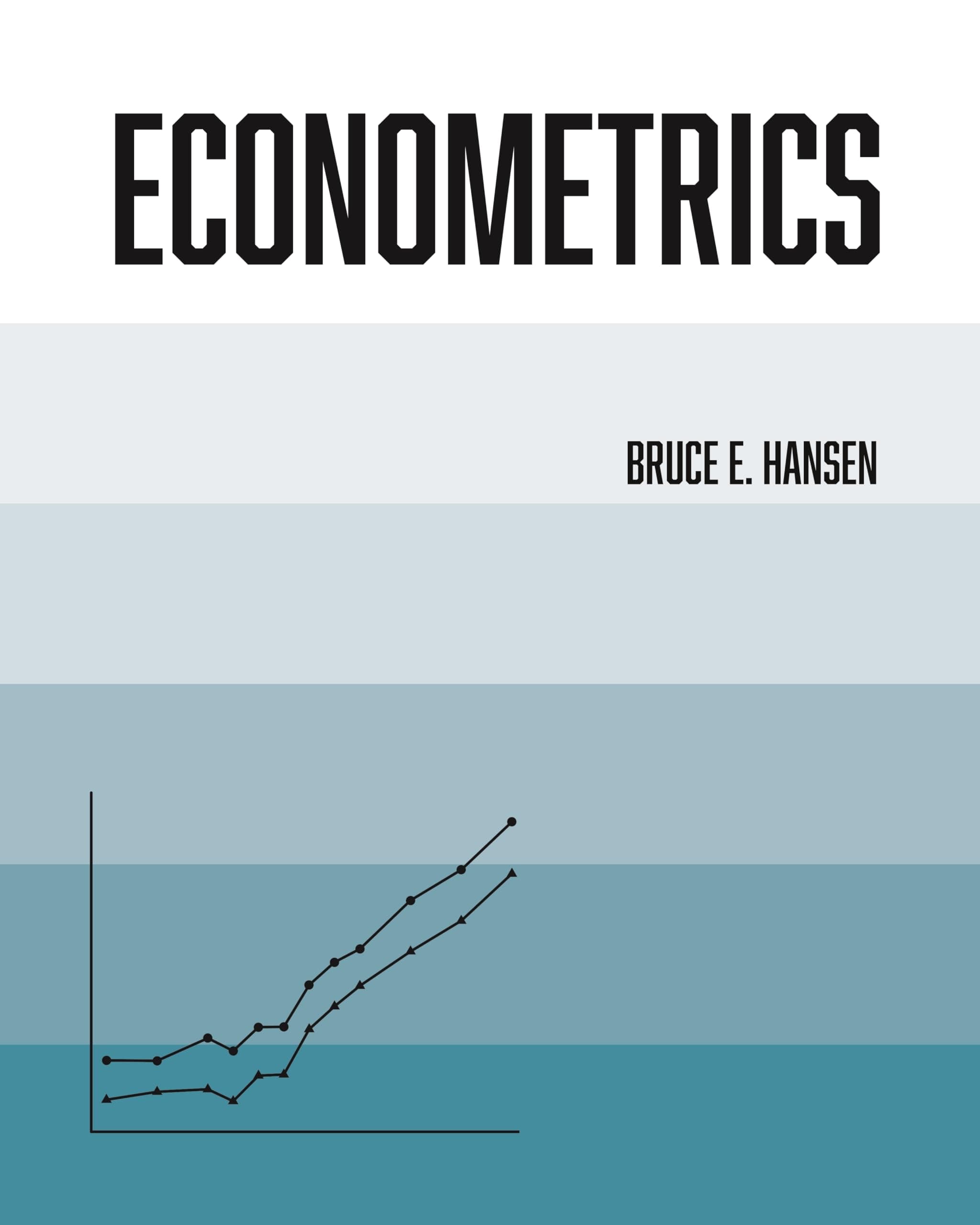 Econometrics Hardcover – Import, 16 August 2022