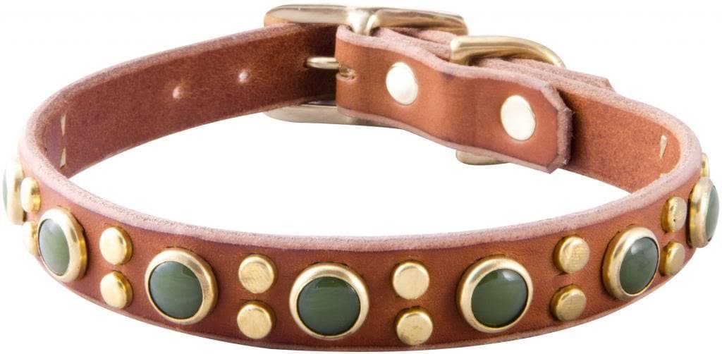 Paco Collars - "Tween Jojo" - Handmade Leather Medium-Small Dog Collar- 3/4" Wide - Brass - Black 14"-16"